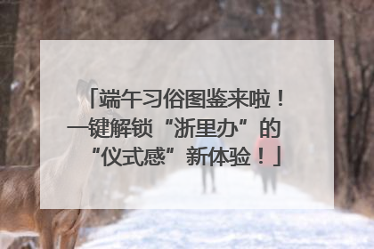 端午习俗图鉴来啦！一键解锁“浙里办”的“仪式感”新体验！