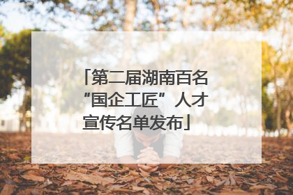 第二届湖南百名“国企工匠”人才宣传名单发布