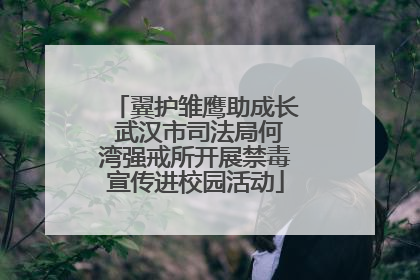 翼护雏鹰助成长 武汉市司法局何湾强戒所开展禁毒宣传进校园活动