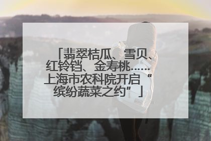 翡翠桔瓜、雪贝、红铃铛、金寿桃……上海市农科院开启“缤纷蔬菜之约”