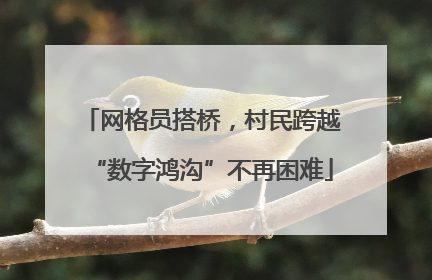 网格员搭桥，村民跨越“数字鸿沟”不再困难