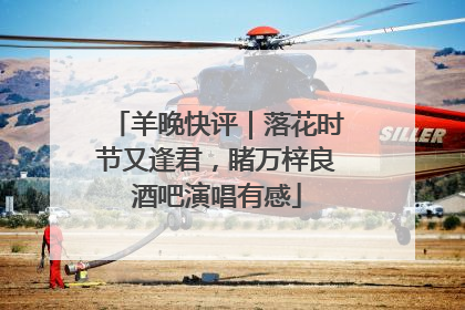 羊晚快评｜落花时节又逢君，睹万梓良酒吧演唱有感