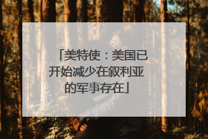 美特使：美国已开始减少在叙利亚的军事存在