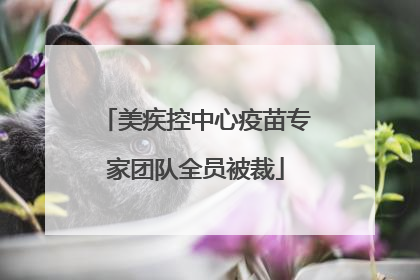 美疾控中心疫苗专家团队全员被裁