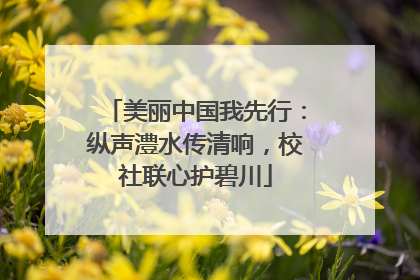 美丽中国我先行：纵声澧水传清响，校社联心护碧川
