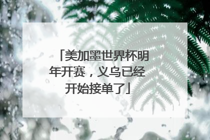 美加墨世界杯明年开赛，义乌已经开始接单了