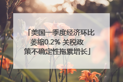 美国一季度经济环比萎缩0.2% 关税政策不确定性拖累增长