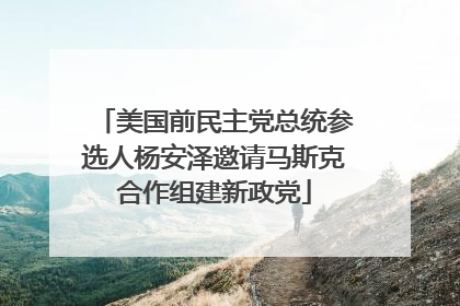 美国前民主党总统参选人杨安泽邀请马斯克合作组建新政党