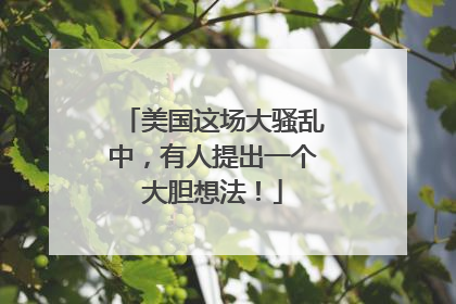 美国这场大骚乱中，有人提出一个大胆想法！