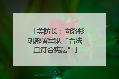 美防长：向洛杉矶部署军队“合法且符合宪法”
