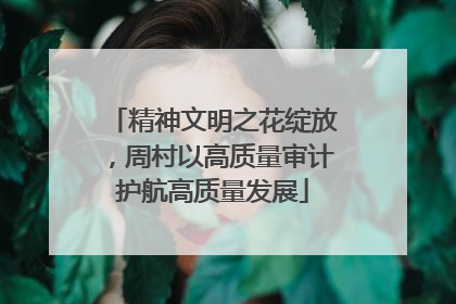 精神文明之花绽放，周村以高质量审计护航高质量发展