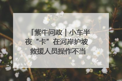 紫牛问政｜小车半夜“卡”在河岸护坡 救援人员操作不当致小车翻下河，然后直接走人了