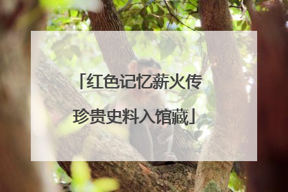 红色记忆薪火传 珍贵史料入馆藏