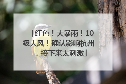 红色！大暴雨！10级大风！确认影响杭州，接下来太刺激