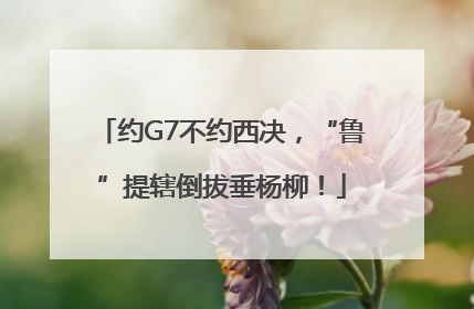 约G7不约西决，“鲁”提辖倒拔垂杨柳！