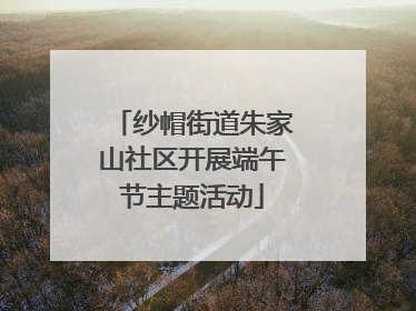 纱帽街道朱家山社区开展端午节主题活动