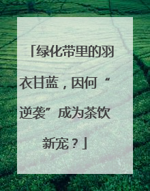 绿化带里的羽衣甘蓝，因何“逆袭”成为茶饮新宠？