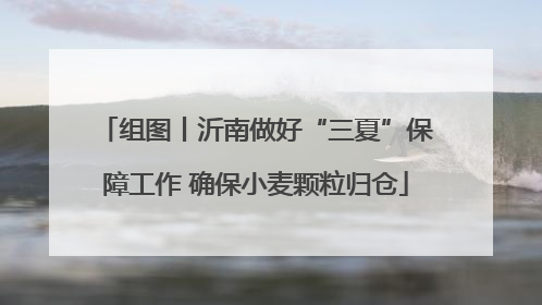 组图丨沂南做好“三夏”保障工作 确保小麦颗粒归仓
