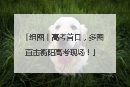 组图丨高考首日，多图直击衡阳高考现场！