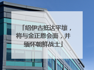 绍伊古抵达平壤，将与金正恩会面，并缅怀朝鲜战士