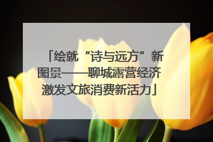 绘就“诗与远方”新图景——聊城露营经济激发文旅消费新活力