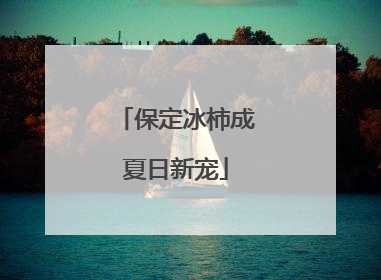 保定冰柿成夏日新宠