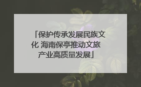 保护传承发展民族文化 海南保亭推动文旅产业高质量发展