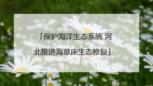 保护海洋生态系统 河北推进海草床生态修复