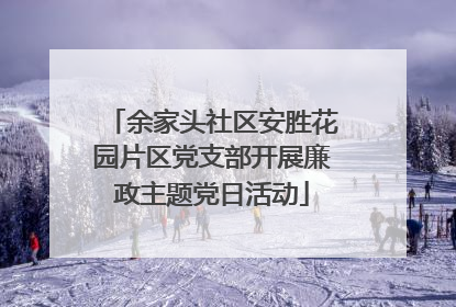 余家头社区安胜花园片区党支部开展廉政主题党日活动