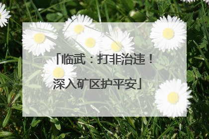 临武：打非治违！深入矿区护平安