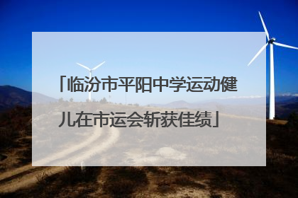 临汾市平阳中学运动健儿在市运会斩获佳绩