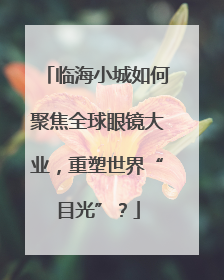 临海小城如何聚焦全球眼镜大业，重塑世界“目光”？