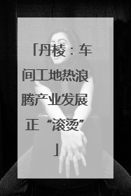 丹棱：车间工地热浪腾产业发展正“滚烫”