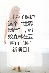 为了保护这个“世界遗产”，蚂蚁森林在云南再“种”新项目