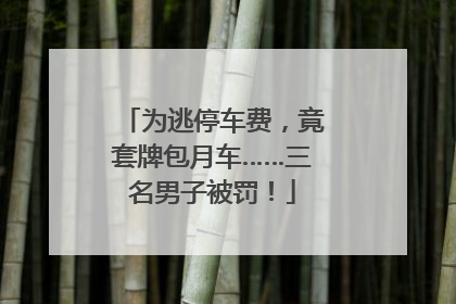为逃停车费，竟套牌包月车……三名男子被罚！
