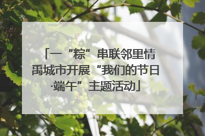 一“粽”串联邻里情 禹城市开展“我们的节日·端午”主题活动