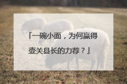 一碗小面，为何赢得壶关县长的力荐？