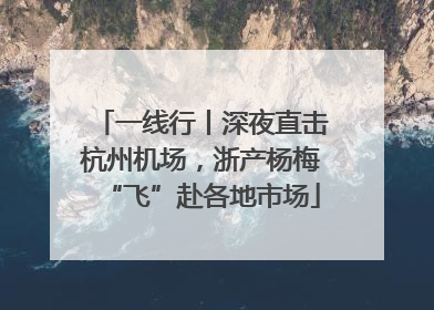 一线行丨深夜直击杭州机场，浙产杨梅“飞”赴各地市场