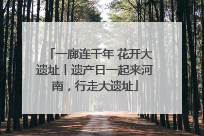 一廊连千年 花开大遗址丨遗产日一起来河南，行走大遗址