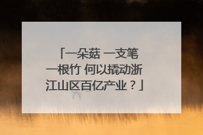 一朵菇 一支笔 一根竹 何以撬动浙江山区百亿产业？