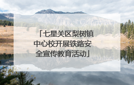 七星关区梨树镇中心校开展铁路安全宣传教育活动