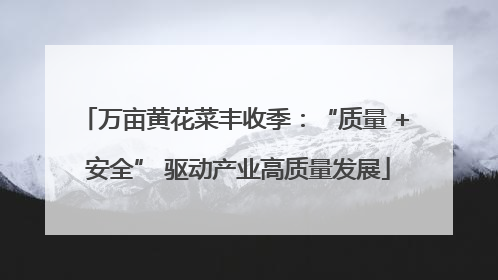 万亩黄花菜丰收季：“质量 + 安全” 驱动产业高质量发展