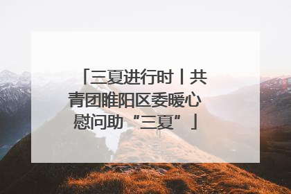 三夏进行时丨共青团睢阳区委暖心慰问助“三夏”