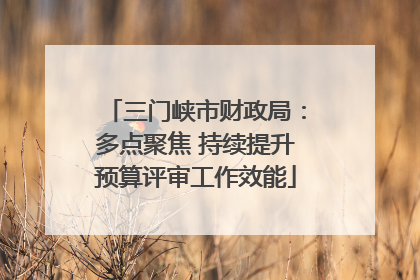 三门峡市财政局：多点聚焦 持续提升预算评审工作效能