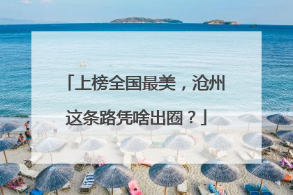 上榜全国最美，沧州这条路凭啥出圈？