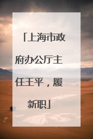 上海市政府办公厅主任王平，履新职