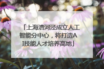 上海漕河泾成立人工智能分中心，将打造AI技能人才培养高地