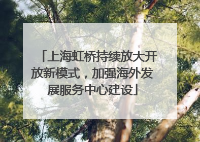 上海虹桥持续放大开放新模式，加强海外发展服务中心建设