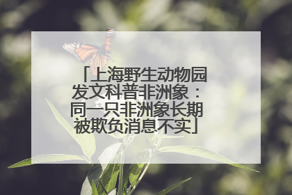 上海野生动物园发文科普非洲象：同一只非洲象长期被欺负消息不实