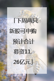 下周两只新股可申购 预计合计募资11.26亿元